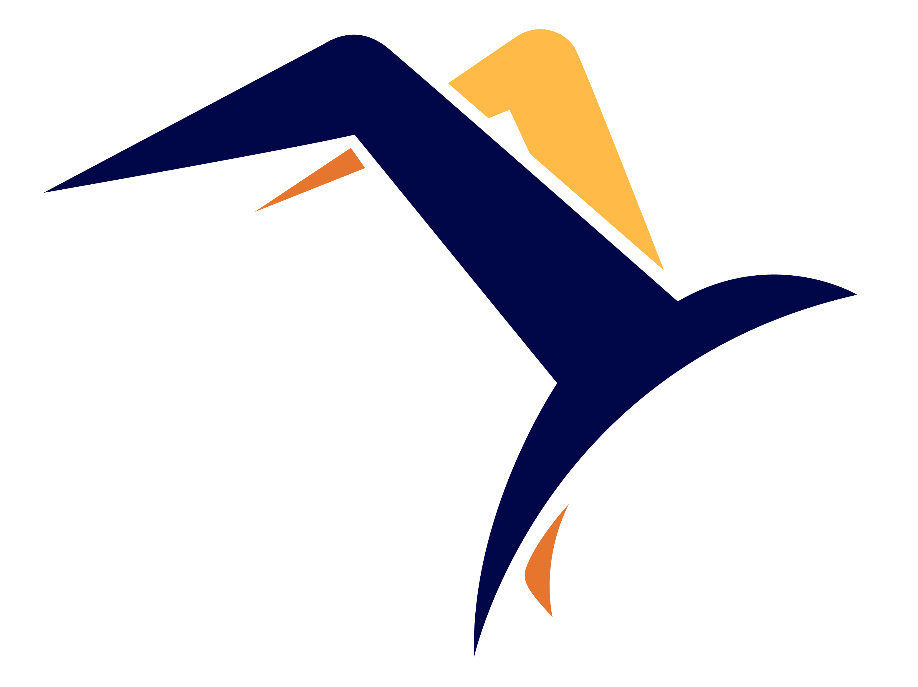 albatross.education